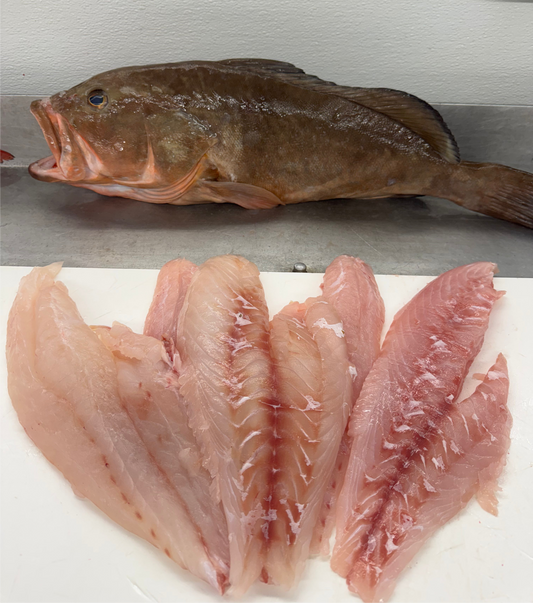 Red Grouper Filet