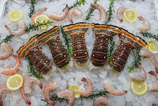 Spiny Lobster Tail 8 oz.