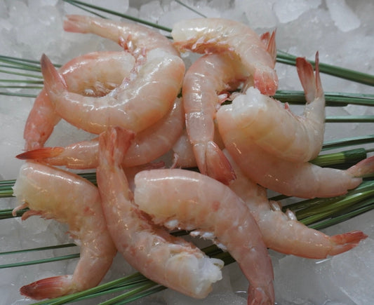 21/25 KWP Shrimp Bag 5lb.