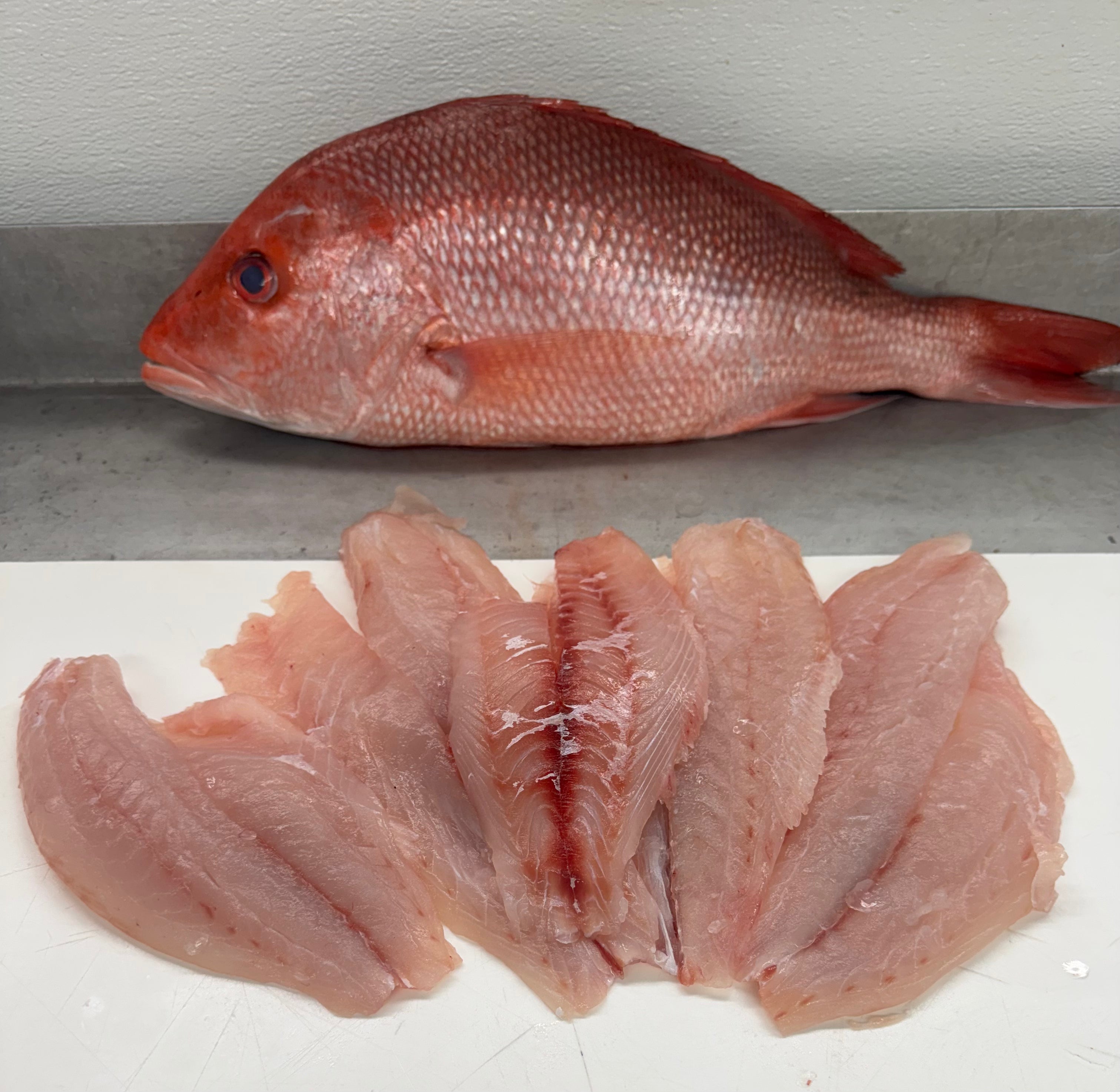 American Red Snapper Filet – Fishbusterz Seafood Madeira