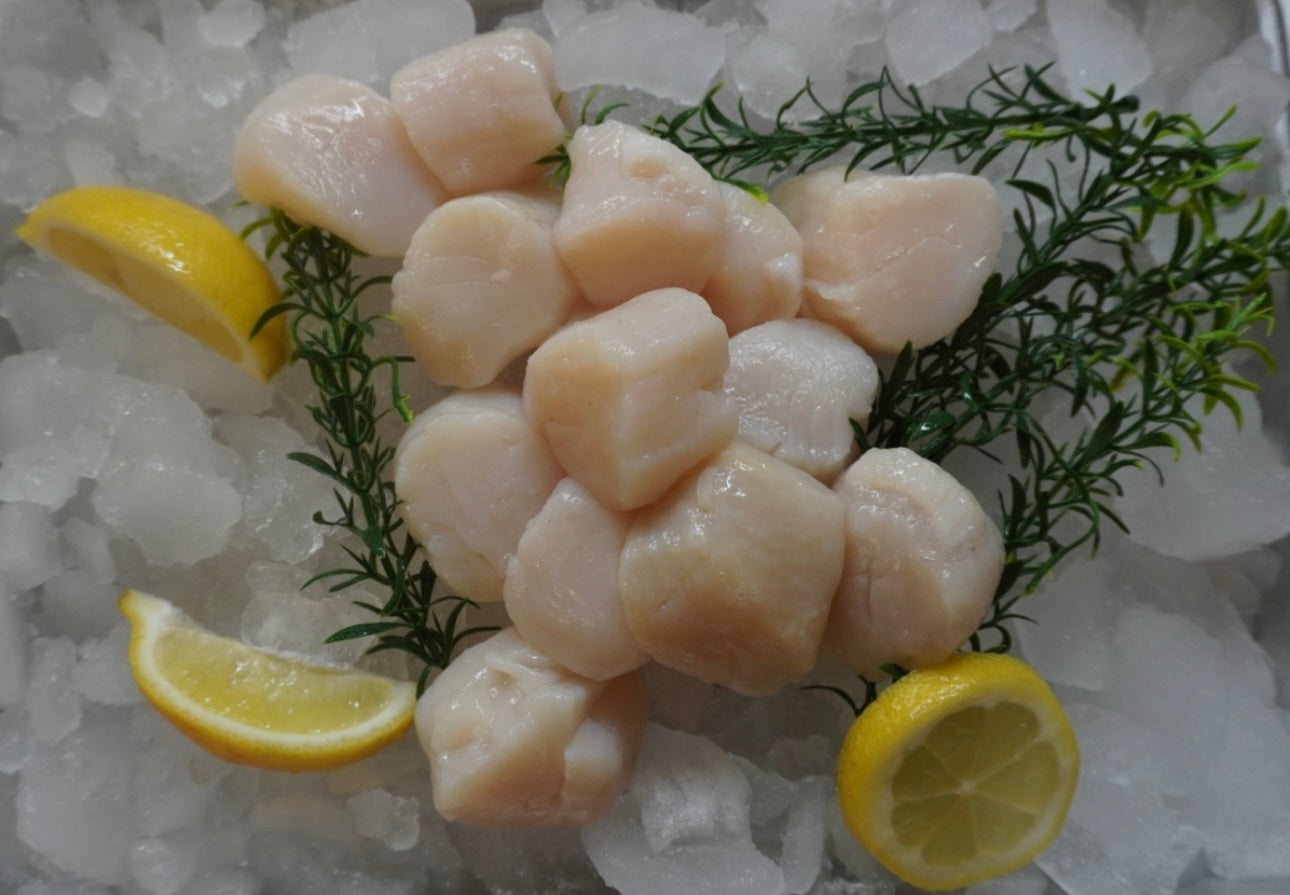 Scallops 5lb. Bag