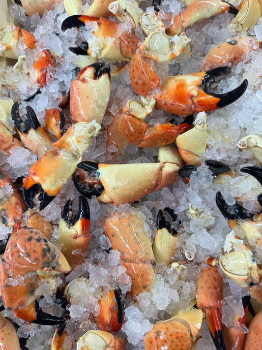 Stone Crab