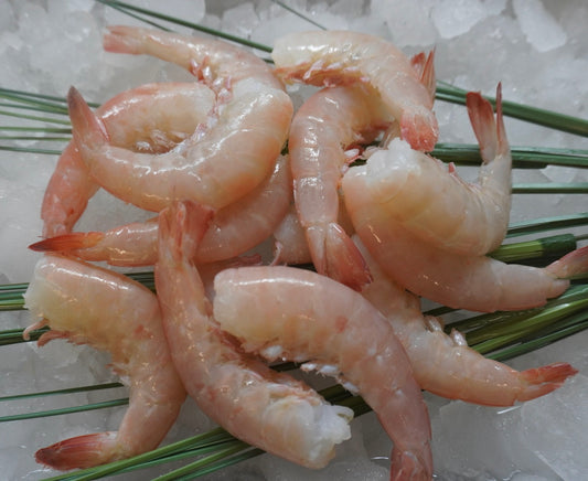 21/25 KWP Shrimp