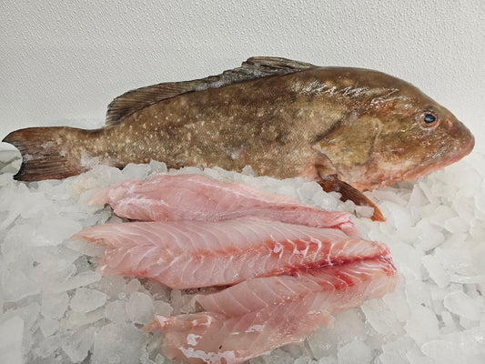 Red Grouper Filet